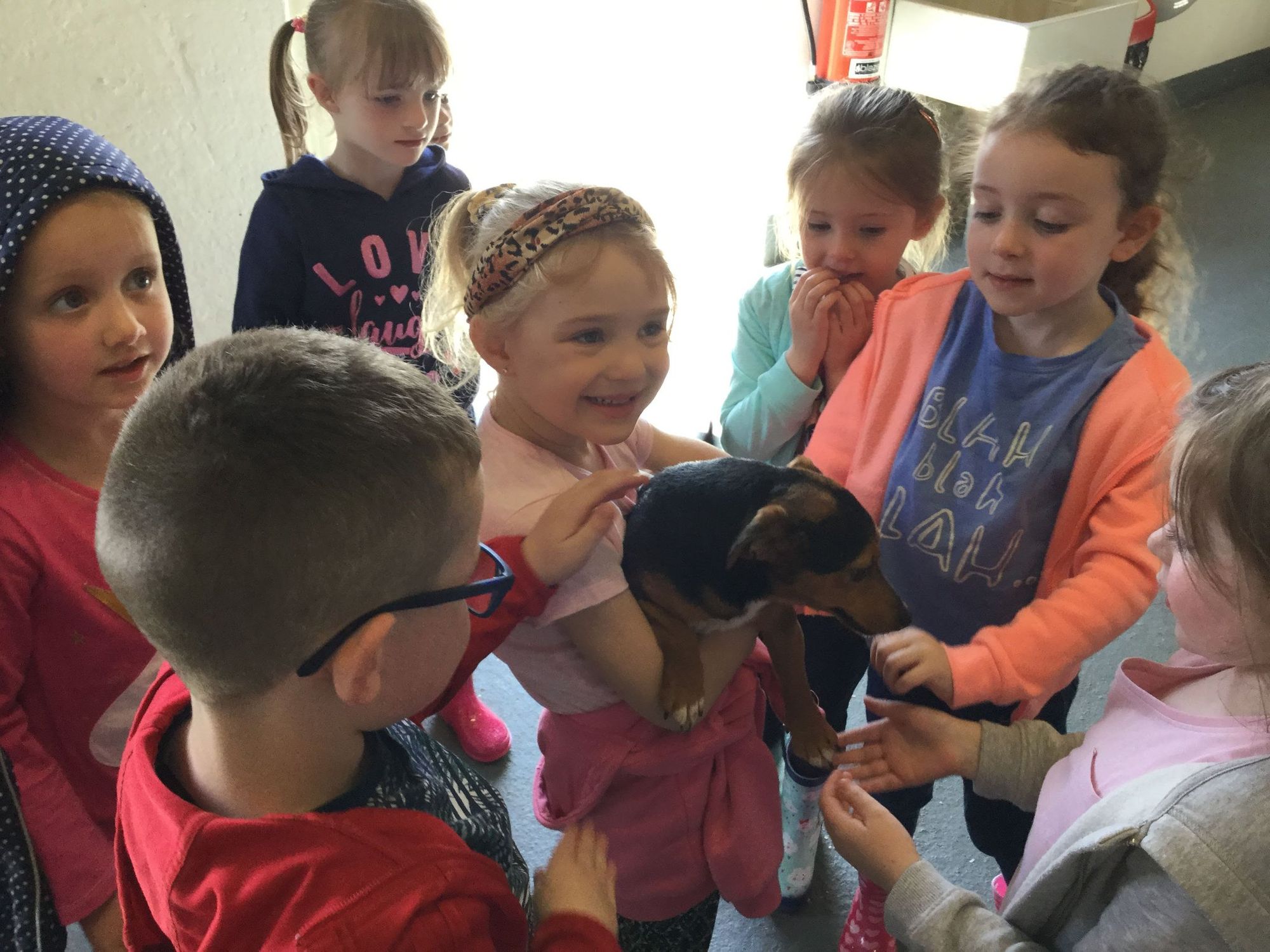 Year 1 Sperrin Fun Farm