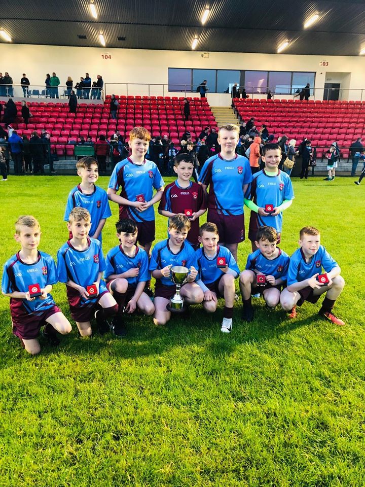 Boys‘ Gaelic Team win the County Final