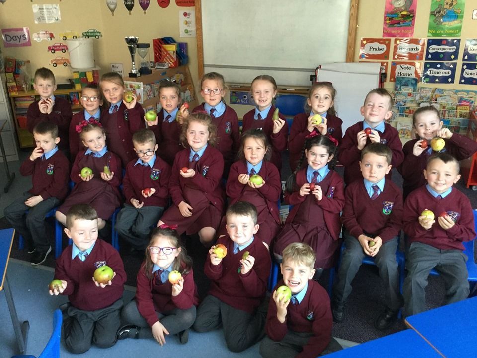3C Fruit collection