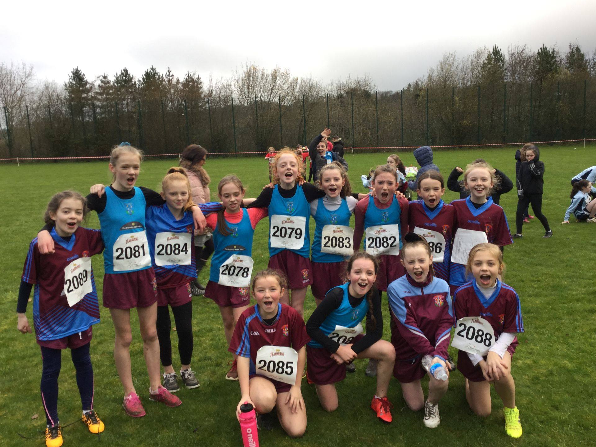 Flahavans Cross Country League