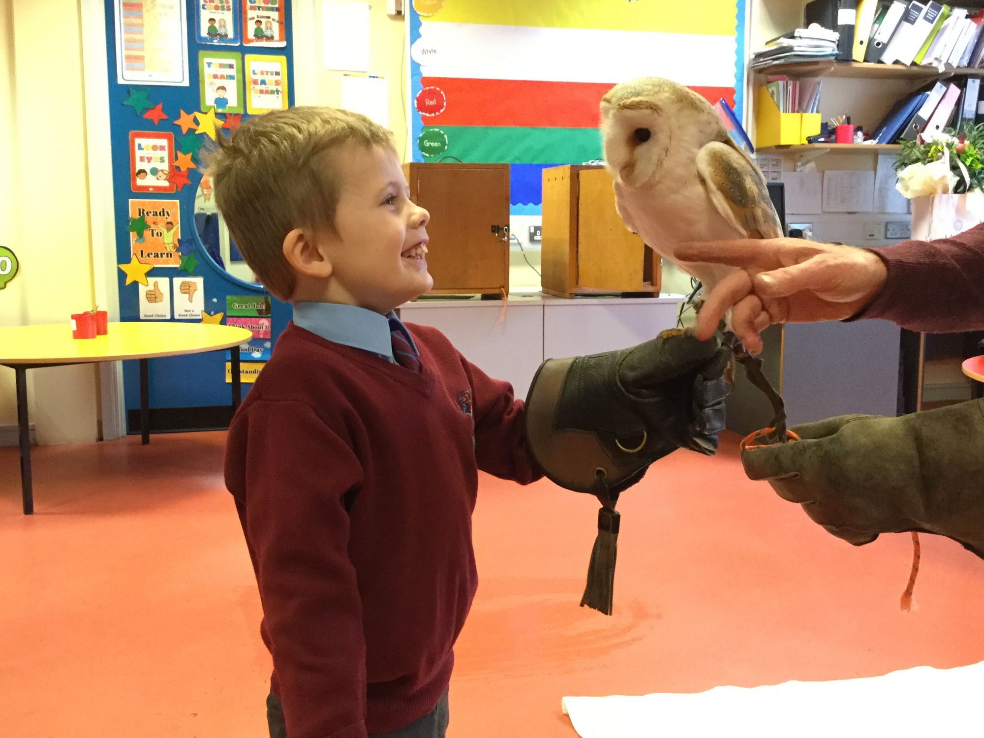Barney the Owl visits Year 1.