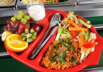 Department of Education Survey on Nutritional Standards for School Food