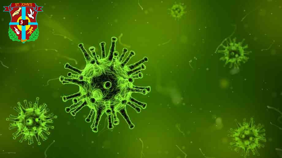 School Flu Vaccination Programme