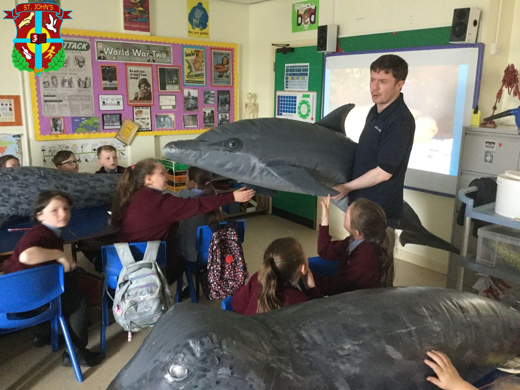 Year 4 classes had a visit from Michael who works for the Loughs Agency