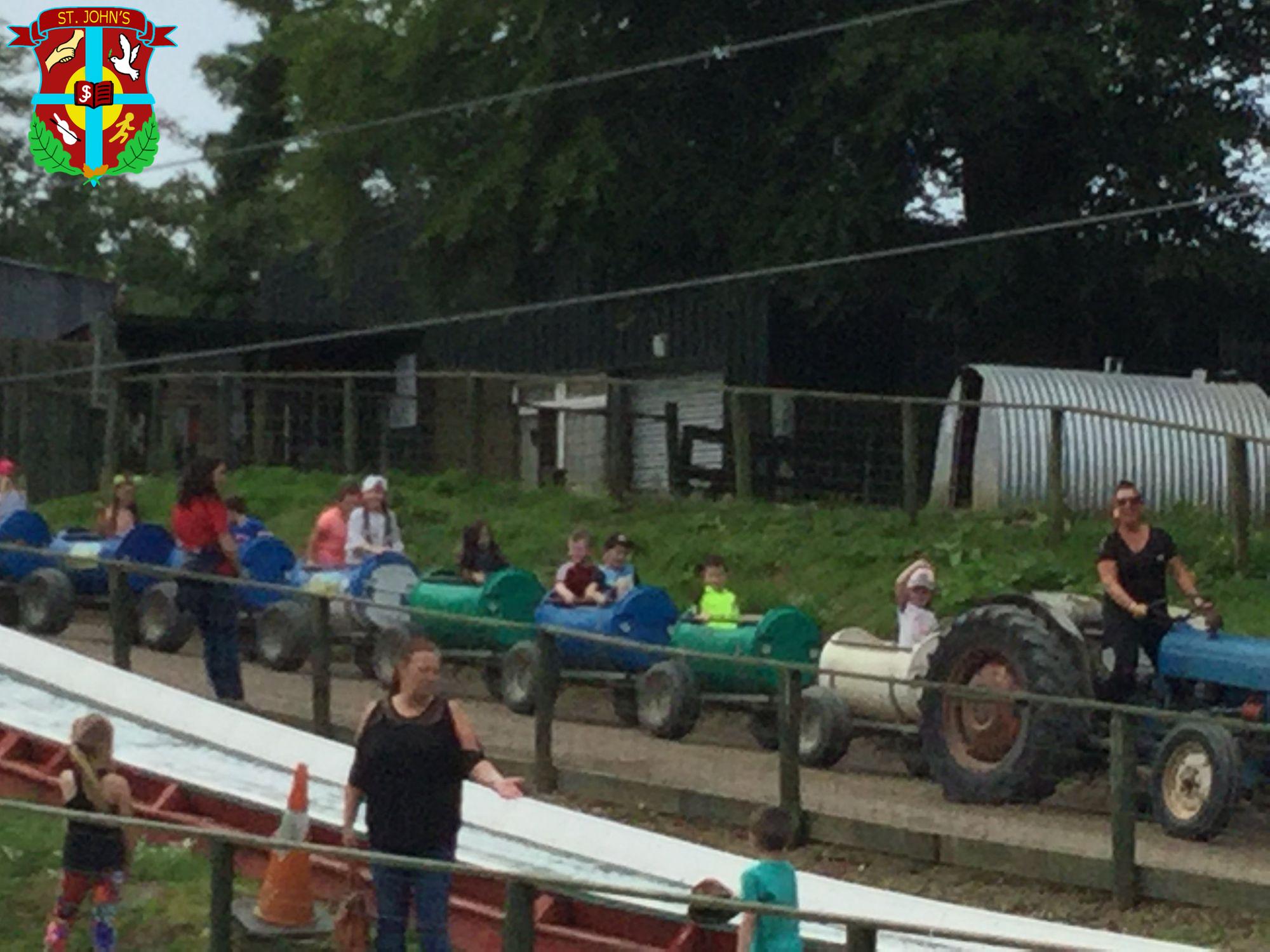 Year 2 having a fun day out at LURGYBRACK OPEN FARM