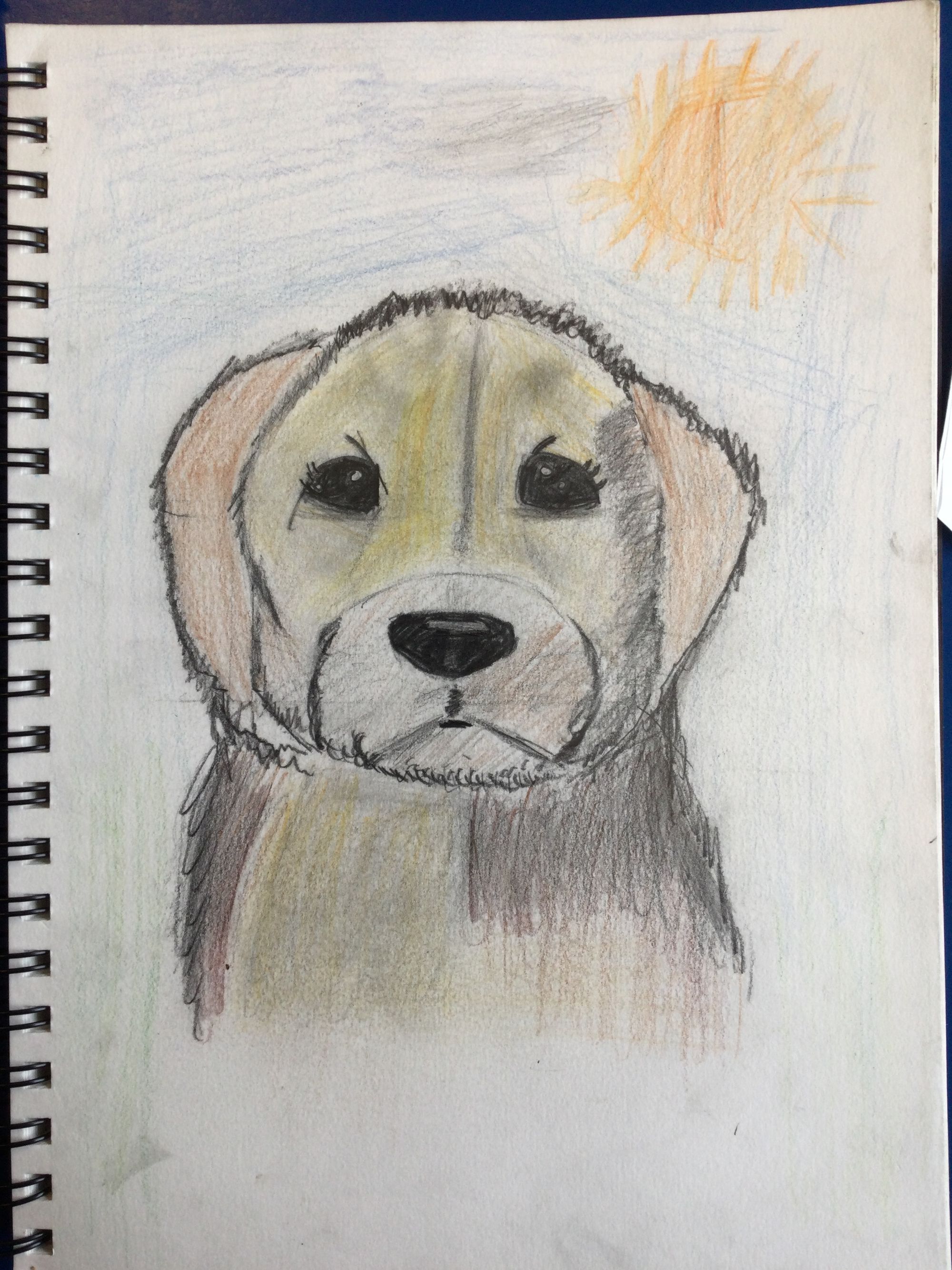 A fantastic drawing by Sophie in 5A!