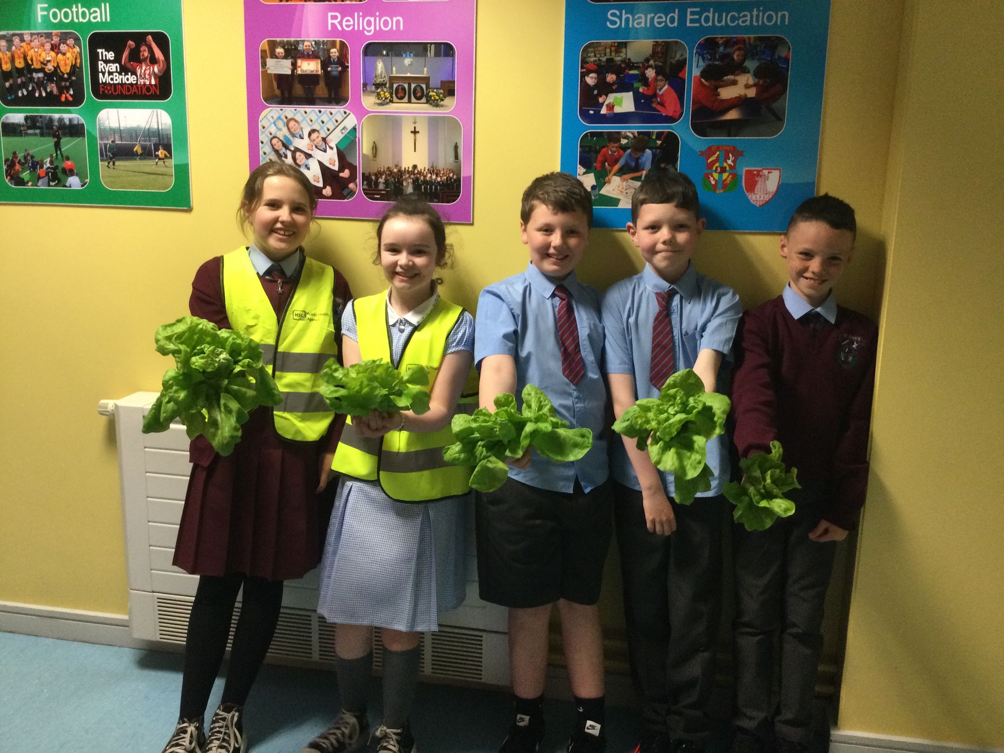 Anyone for lettuce?