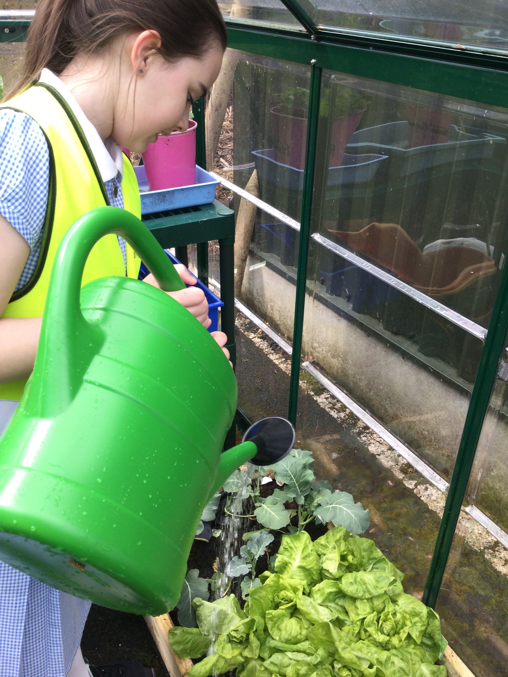 How does your garden grow?