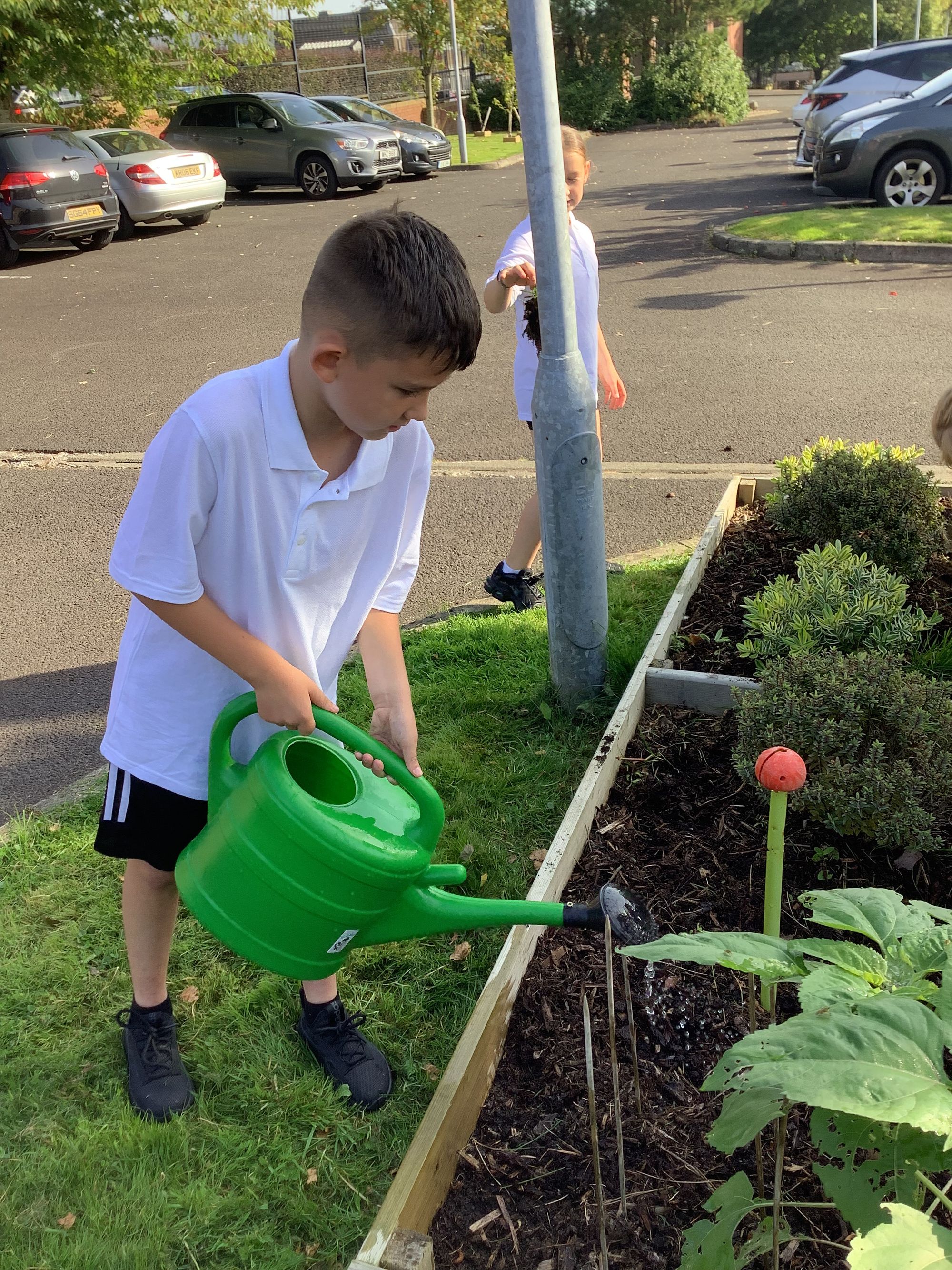 Gardening in Year 6