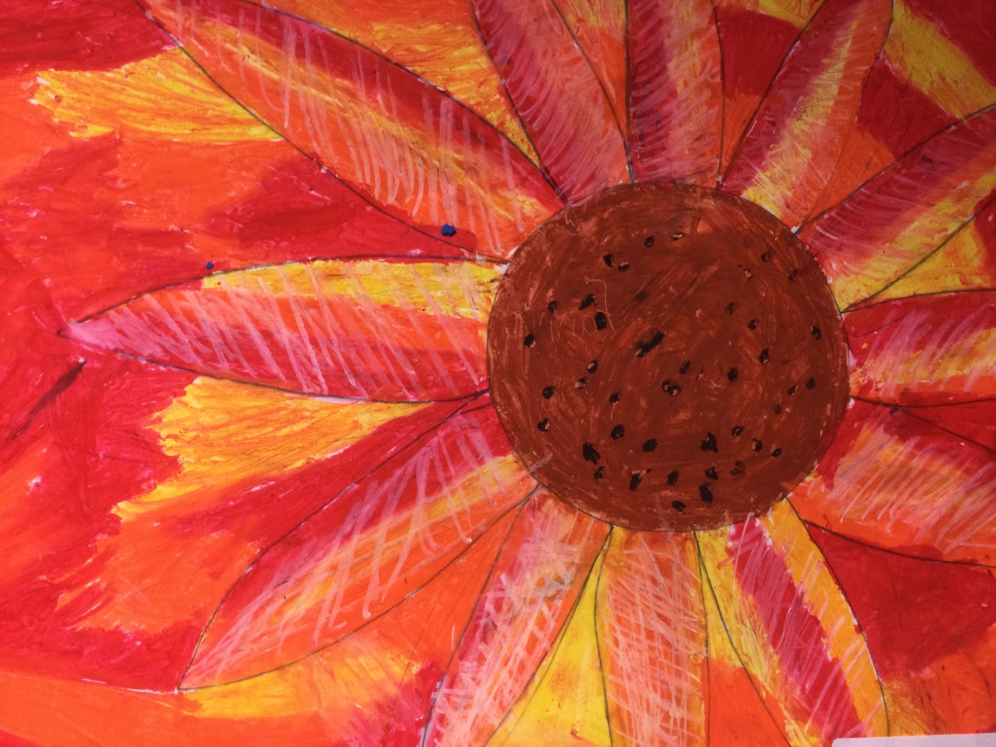 Insects View of a Flower By Y6 A