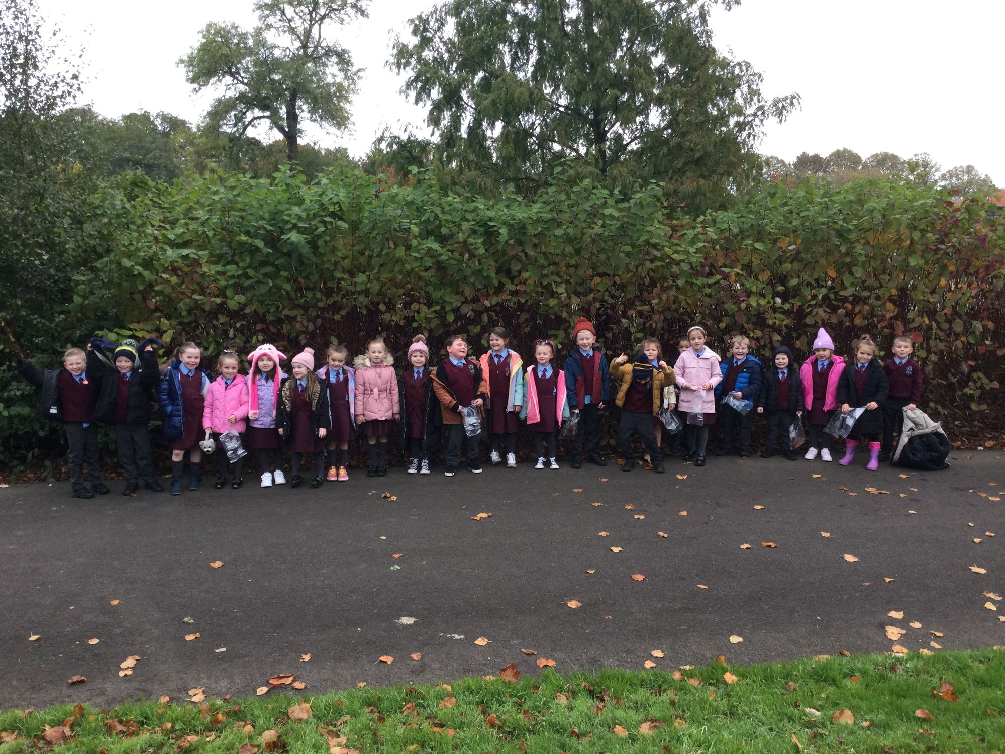 Autumn Walk