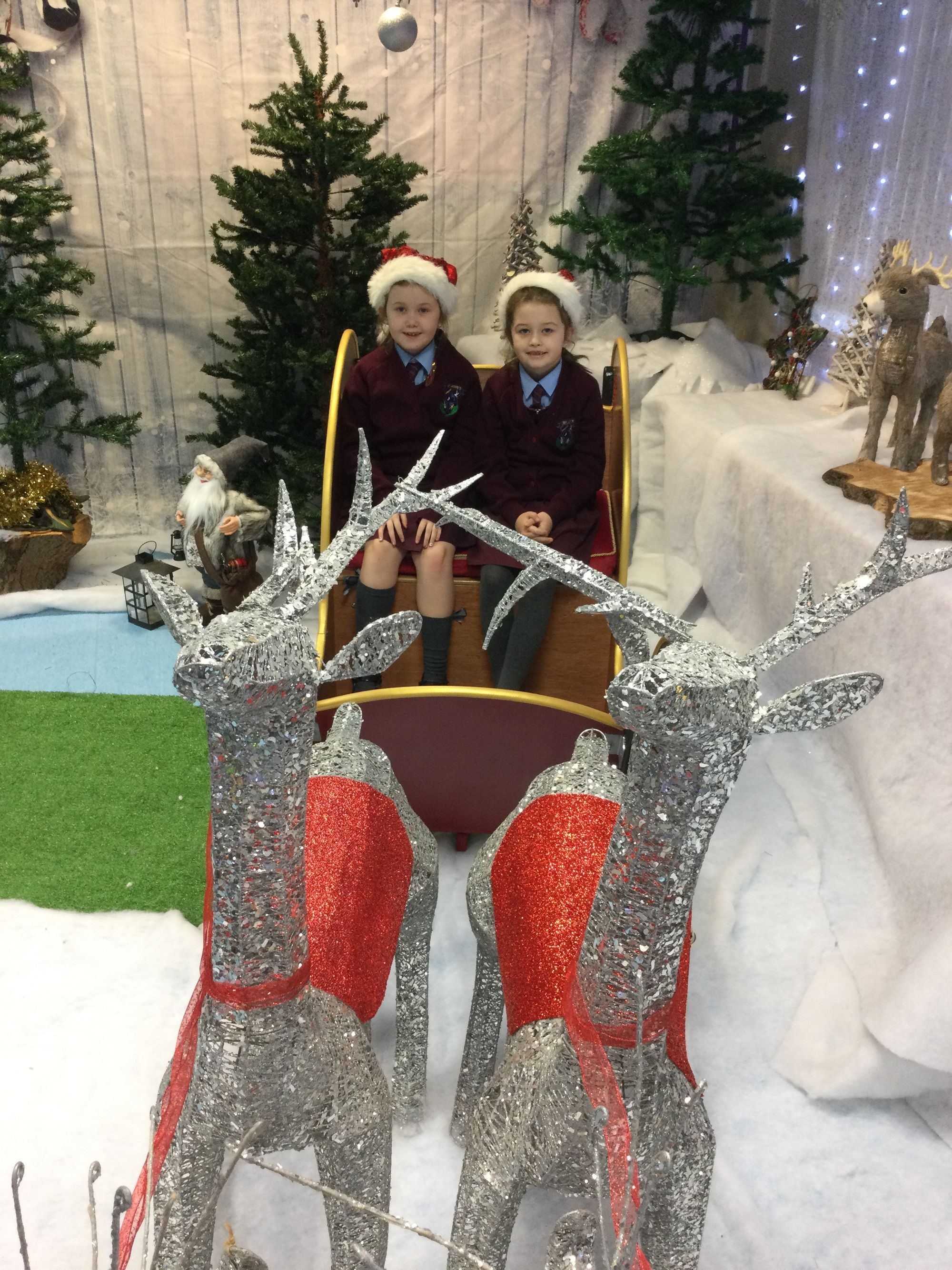 Christmas Sleigh Rides