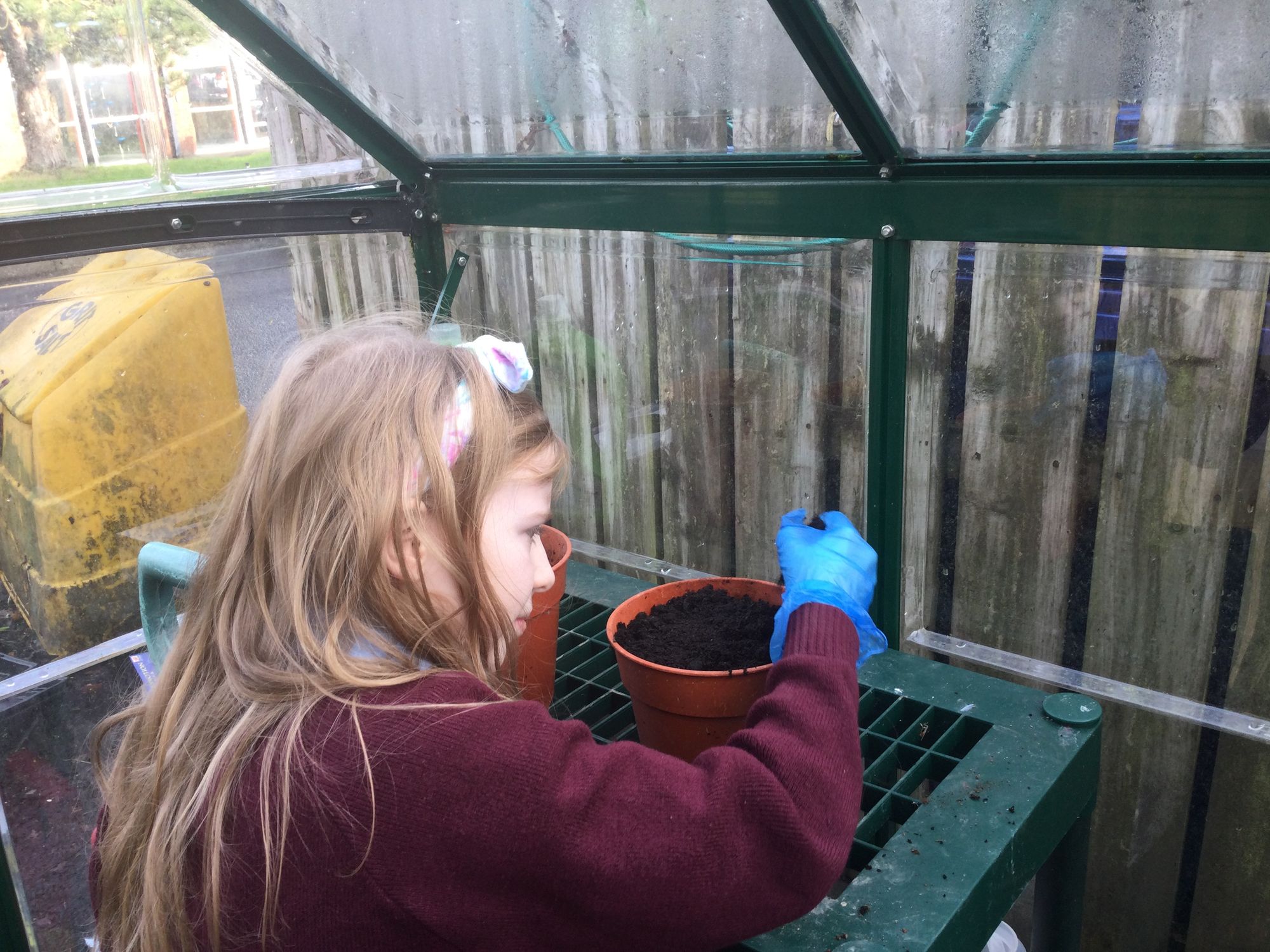 ECO Committee pupils plant some flowers in the green house.