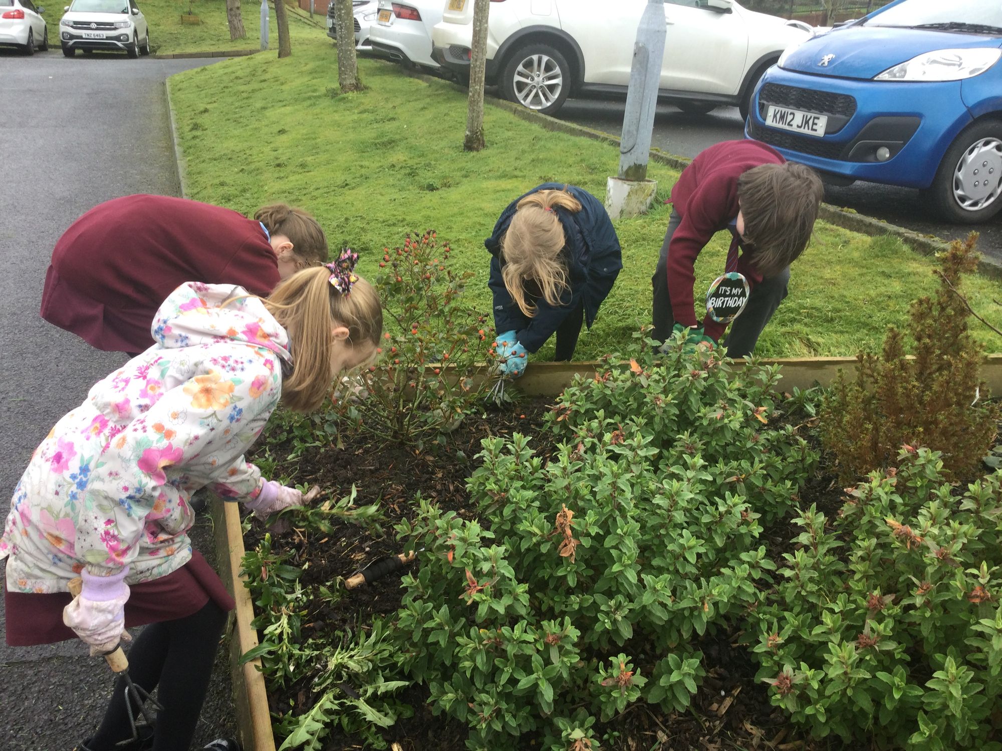 When the sun shines we love to work in our outdoor garden.