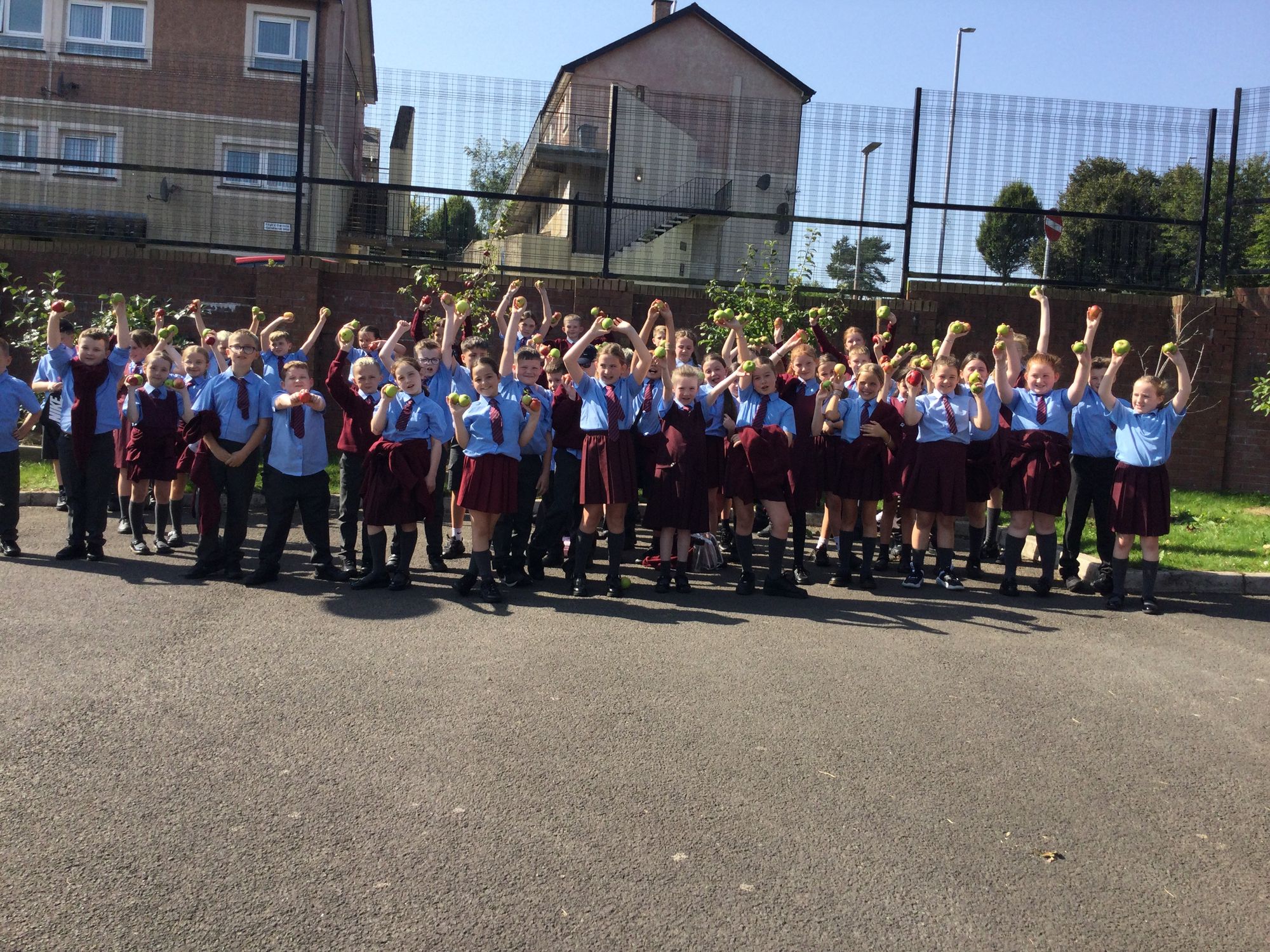 First week back in Year 6.