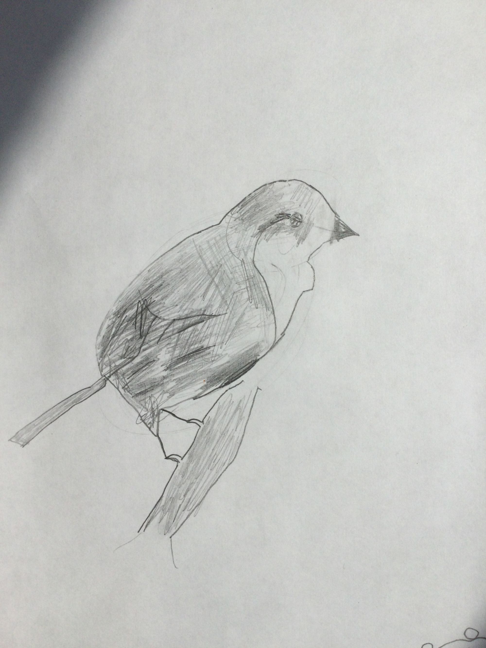 3A created beautiful art work this week related to
