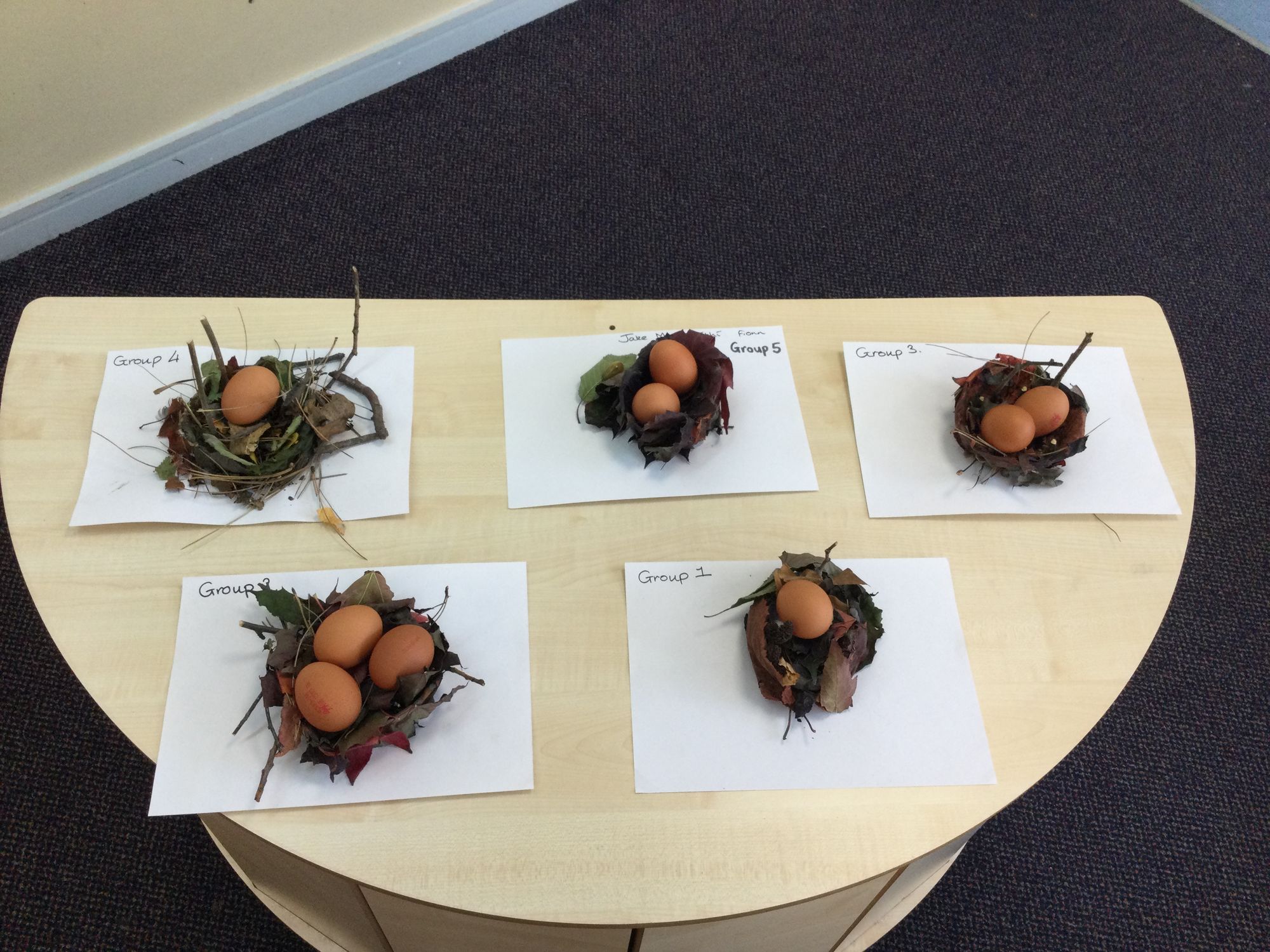 3B Nature Walk and Bird Nest Experiment