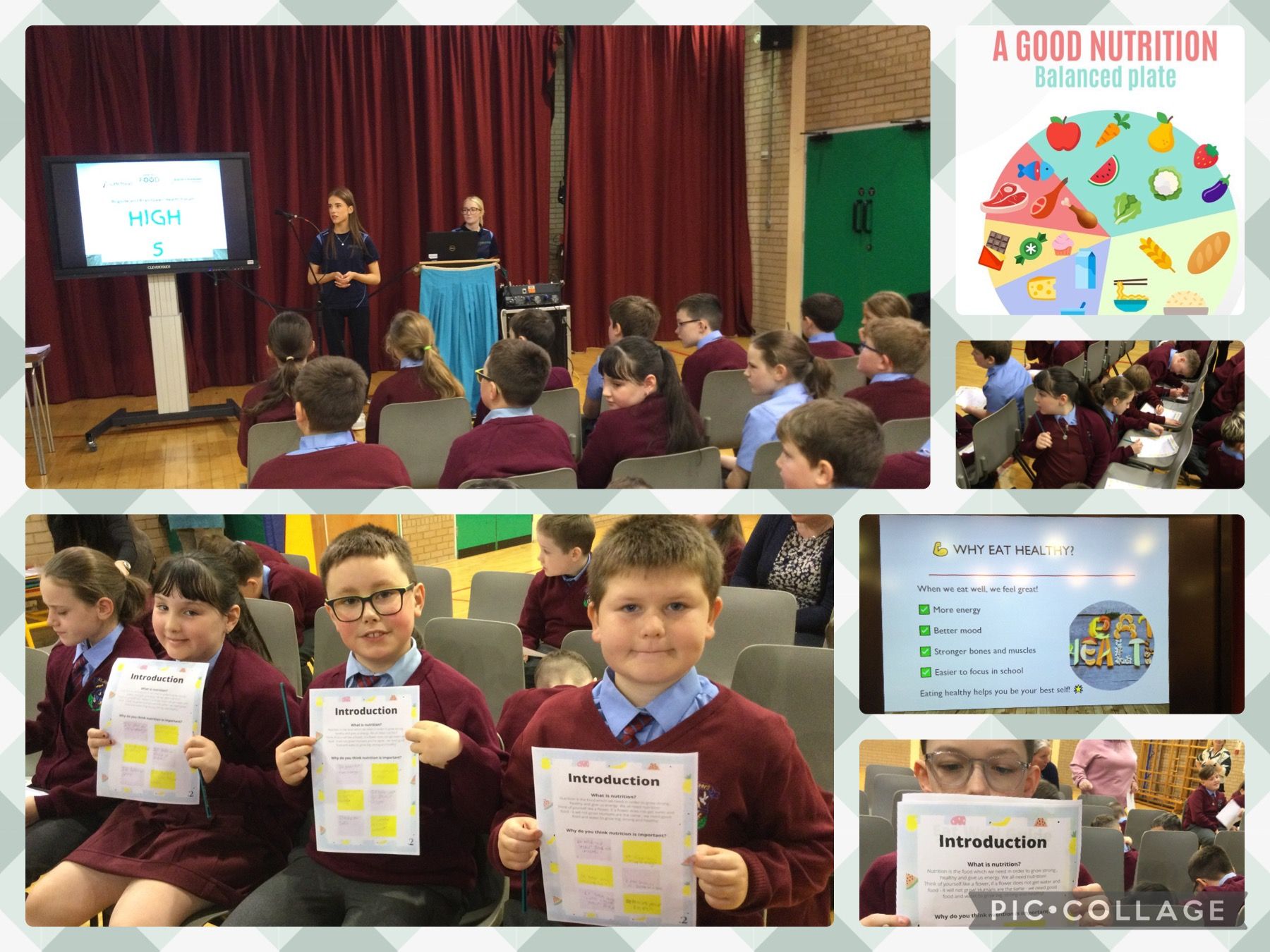 This week, 6B took part in a nutrition session whe