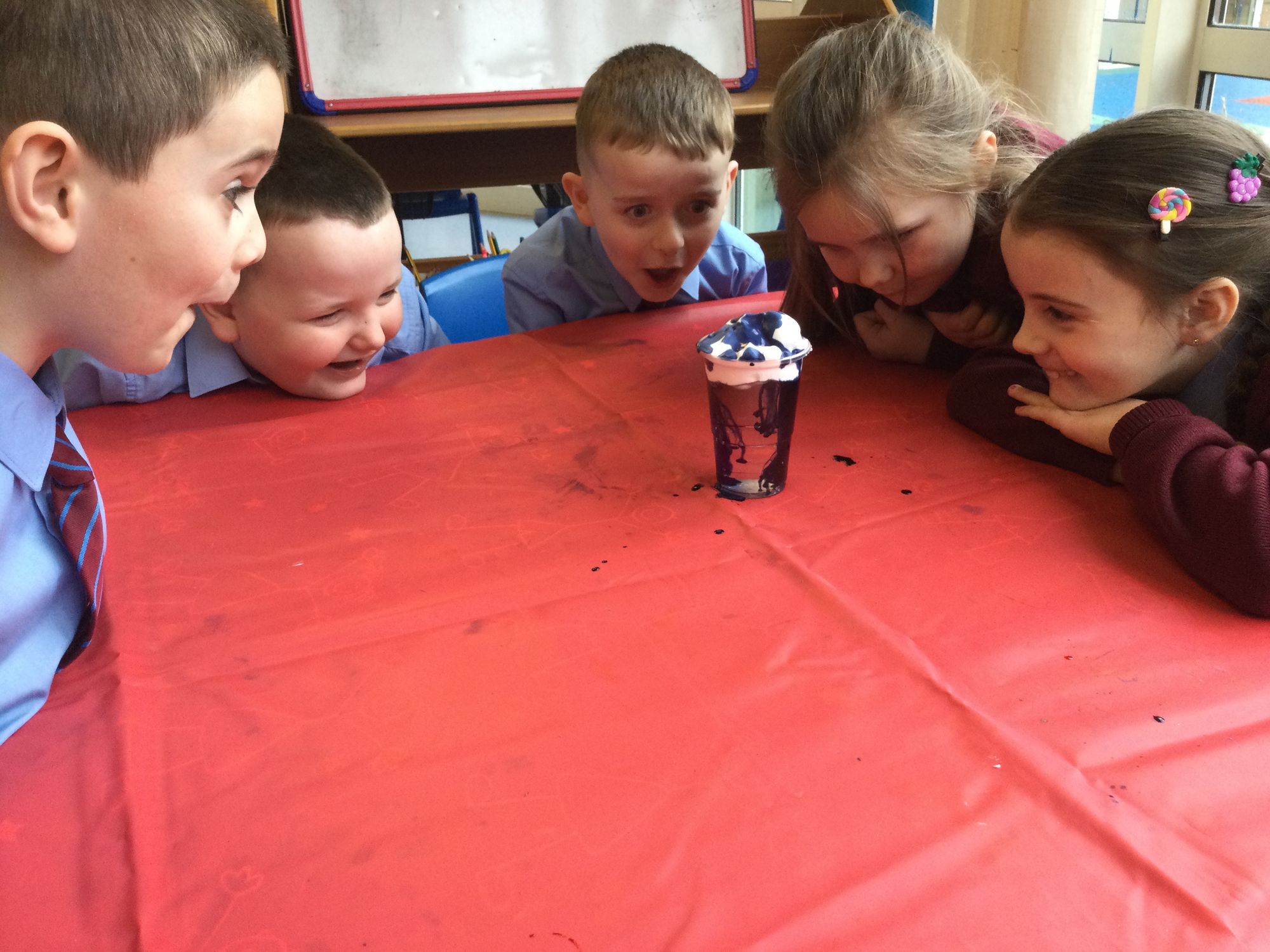 Science Week in Year 3