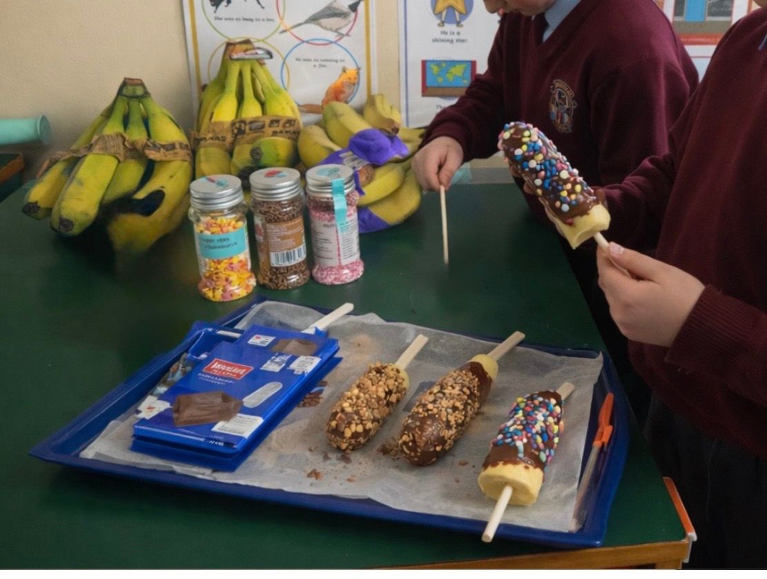 From Cocoa Bean to Cake pop🍫