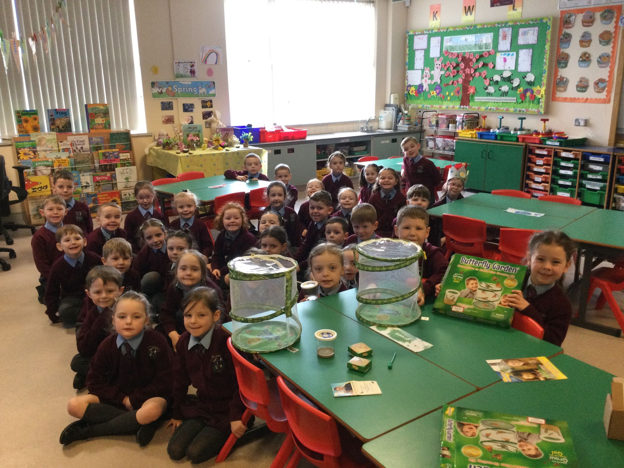 The Year 2 children are excited to welcome 5 caterpillars to their classrooms🐛