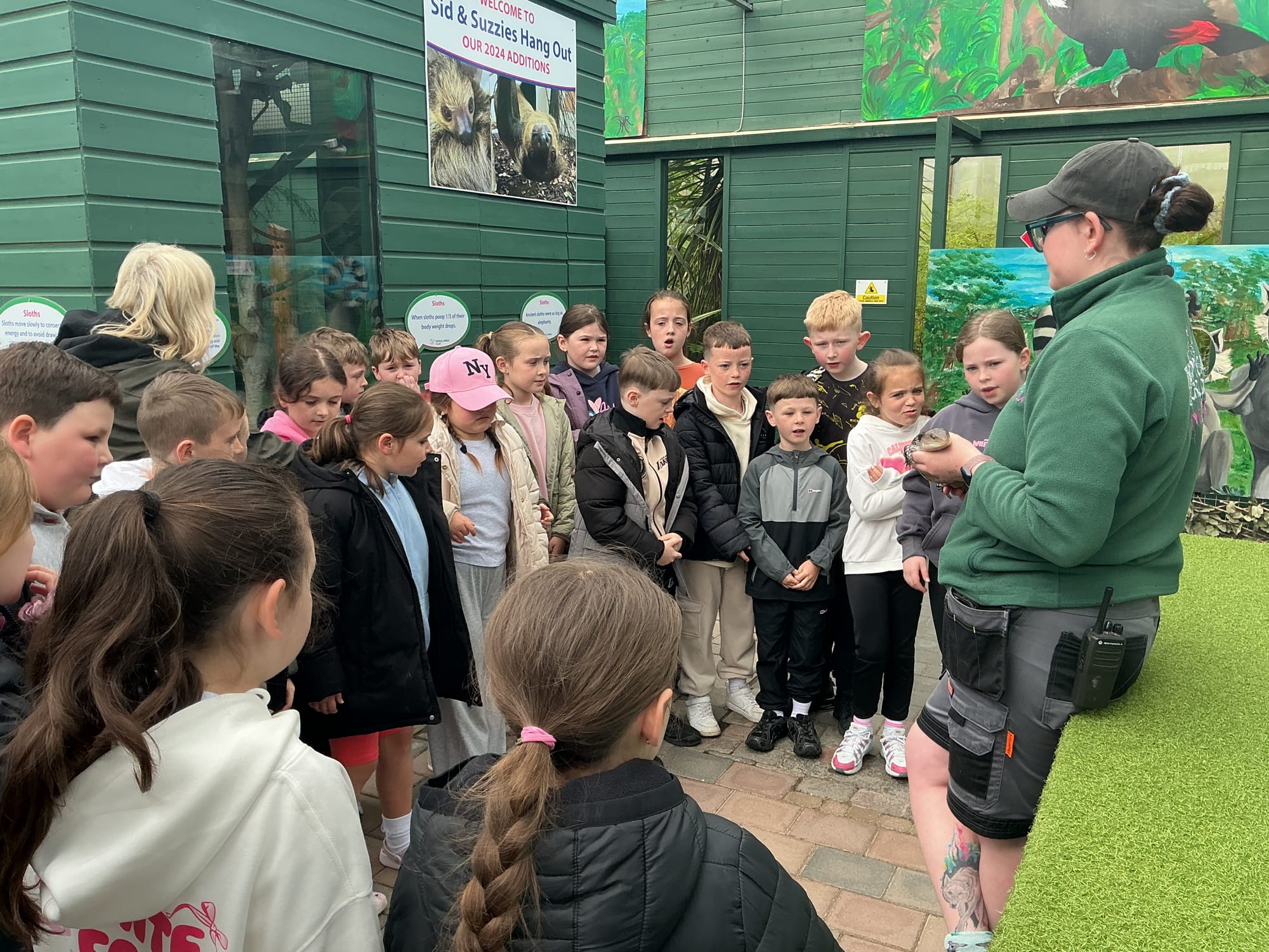 Meeting Blue the reptile