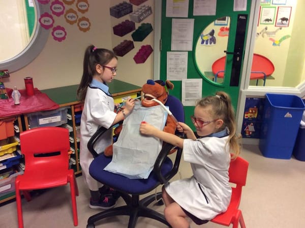 Year 2 Dentist