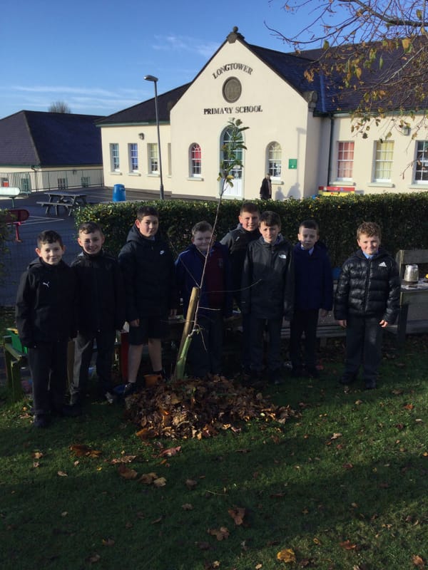 Biodiversity Garden Project with Mr McCourt's 7A Class