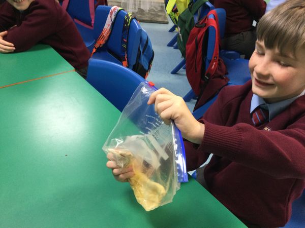Science Investigation in Year 5C