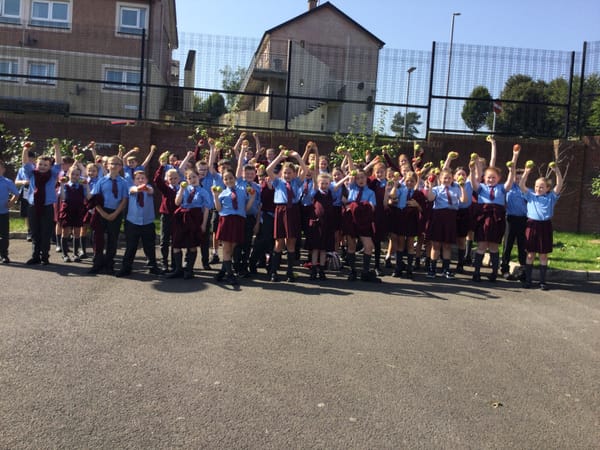 First week back in Year 6.