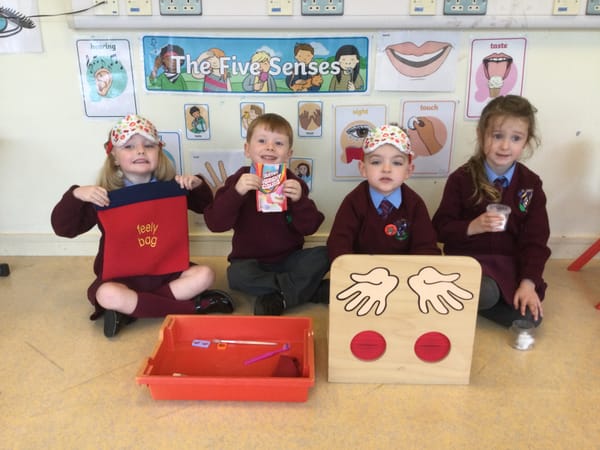 Investigating Our Senses Year 1B