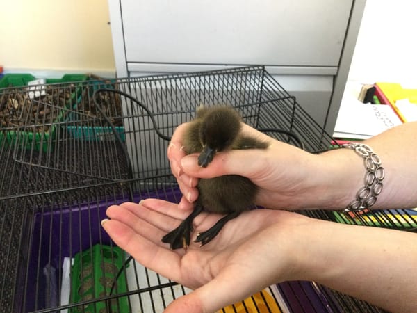 A Surprise Visit in 3A!