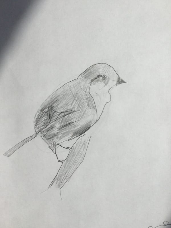 3A Art ~ Birds