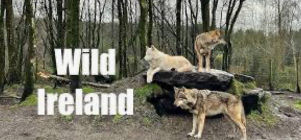 Year 6 School Trip