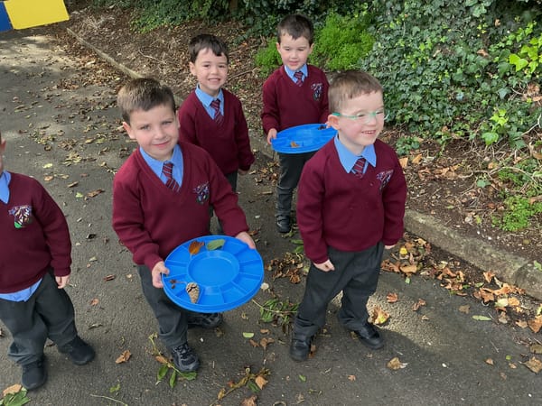 Making Sets of 1 in Our Outdoor Classroom.