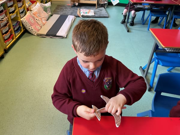 3B love learning about birds.