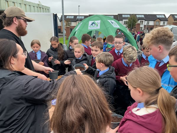 Year 7B trip to Ballymagowan Allotments