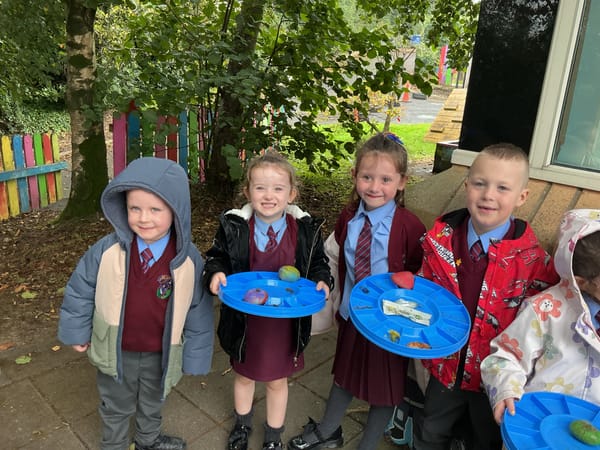 1B Making Sets of One Outdoors/Taste Experiment